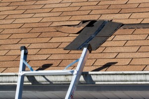 What You Need to Know About Brand New Roofing 