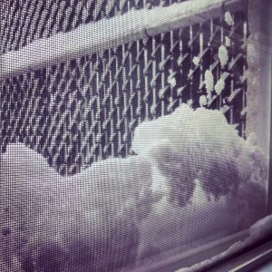 Should Window Screens Be Removed in Winter? 